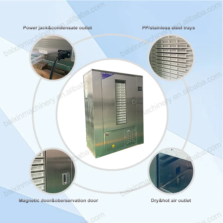 Siliguri Ginger Dry Extract Slicing Cutting and Drying Dust Dryer Machine and Cost Dry Turmeric and Ginger