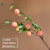 7 Apple CS Rosa
