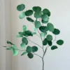 Verde mela 100g