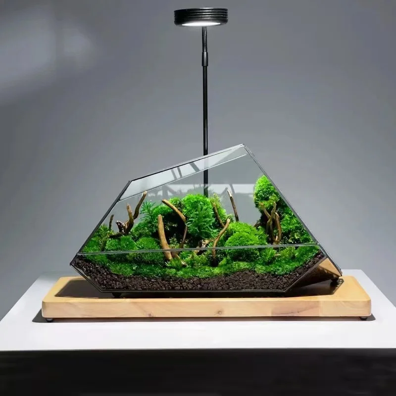 Geometric Glass Terrarium and Glass Cube Hanging Terrarium