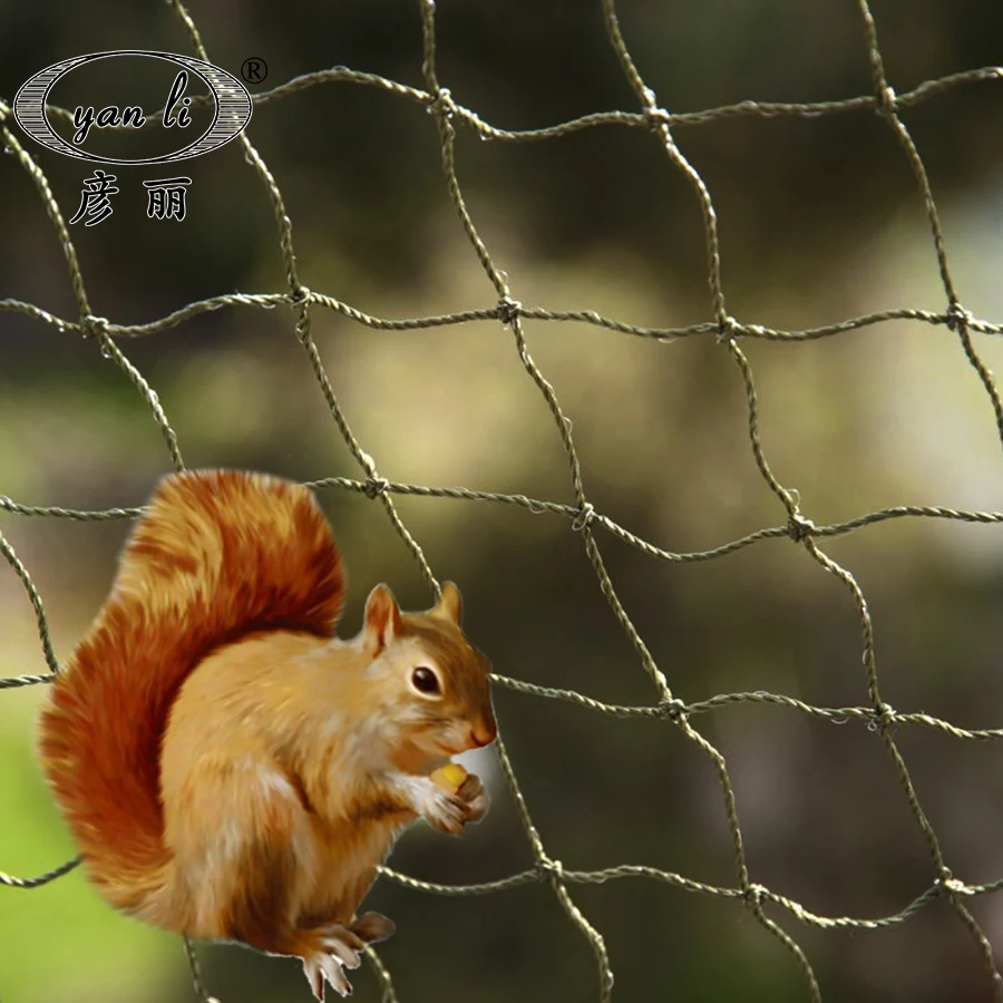 Alibaba.com: Anti Squirrel Net Protect Plants and Fruit Trees Net ...