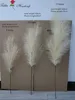 artificial pampas 5forks
