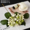 Single bean berry white