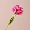 Garofano rosa rossa con confezione indipendente