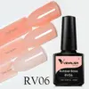 RV06