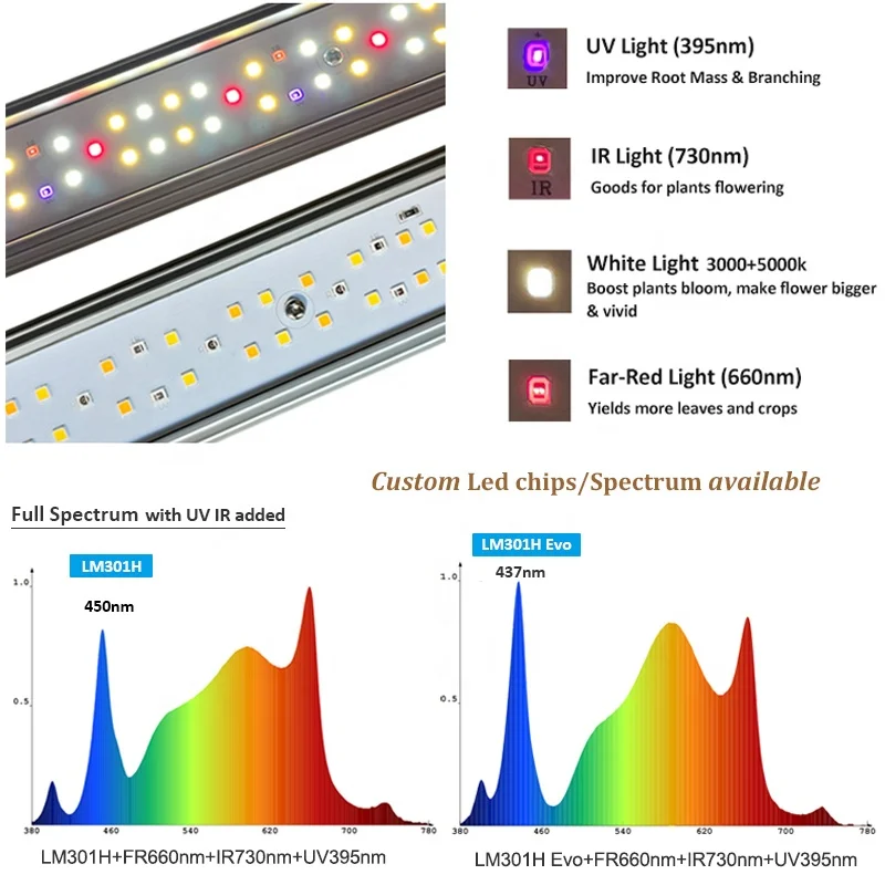 Balanced Ppfd Led Grow Light 1000w Lm301h Evo Custom Uv Ir Separate
