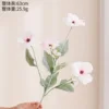Butterfly Ranunculus Powder