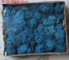 B-01 Dark blue