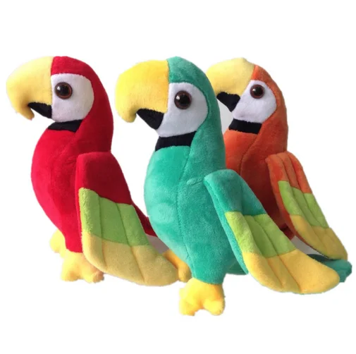 macaw parrot shop