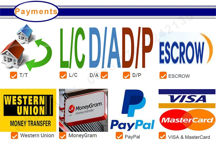 0-Payments+watermark 750x.jpg
