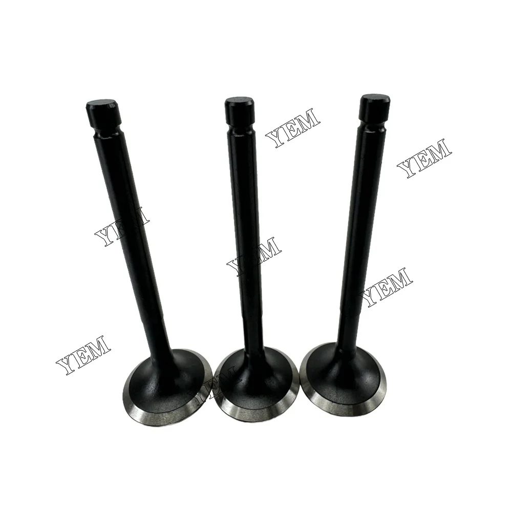 E3CD Exhaust Valve for Iseki Engine Parts Stock Complete 2