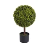 Albero in vaso di erba da soldi PZ-1-161/65 cm