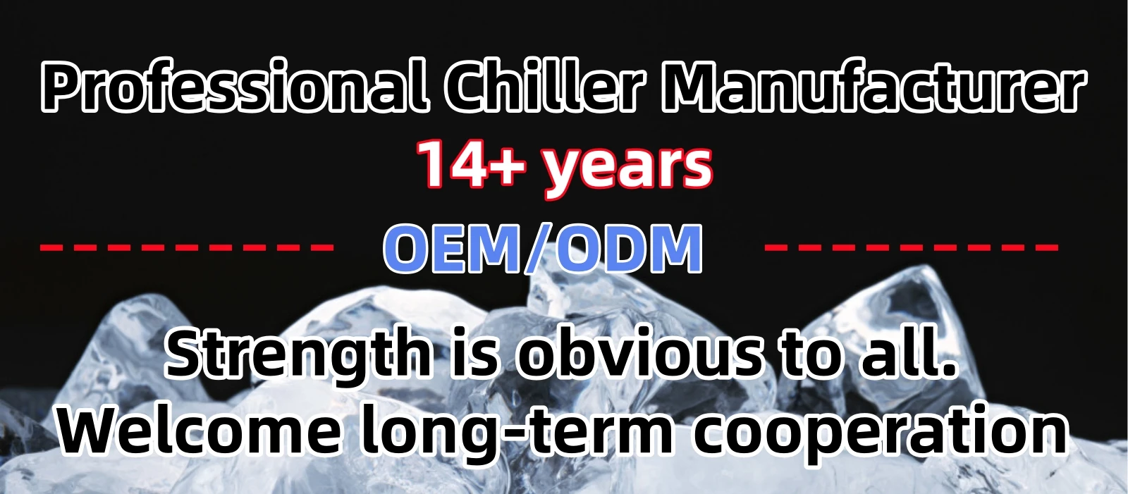High-quality Ice Bath Chiller, 110 V, 900 W - detail 2