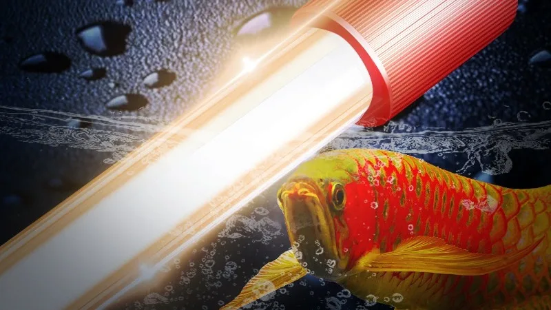 Arowana Tanning Light - LED Aquarium Light 2700K