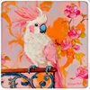 Orange parrot