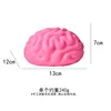 Brain