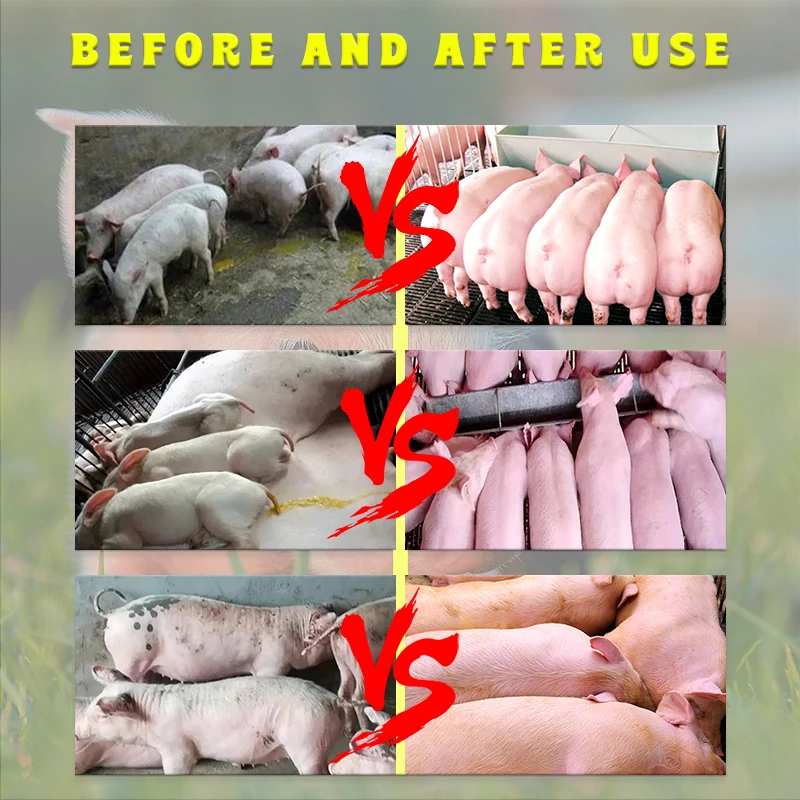Pig Growth Weight Gain Booster Swine Feed Supplement Pork Meat Enhancer Livestock Feed Additives Animal Vitamin Weight Promoter