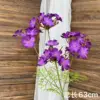 Purple geranium