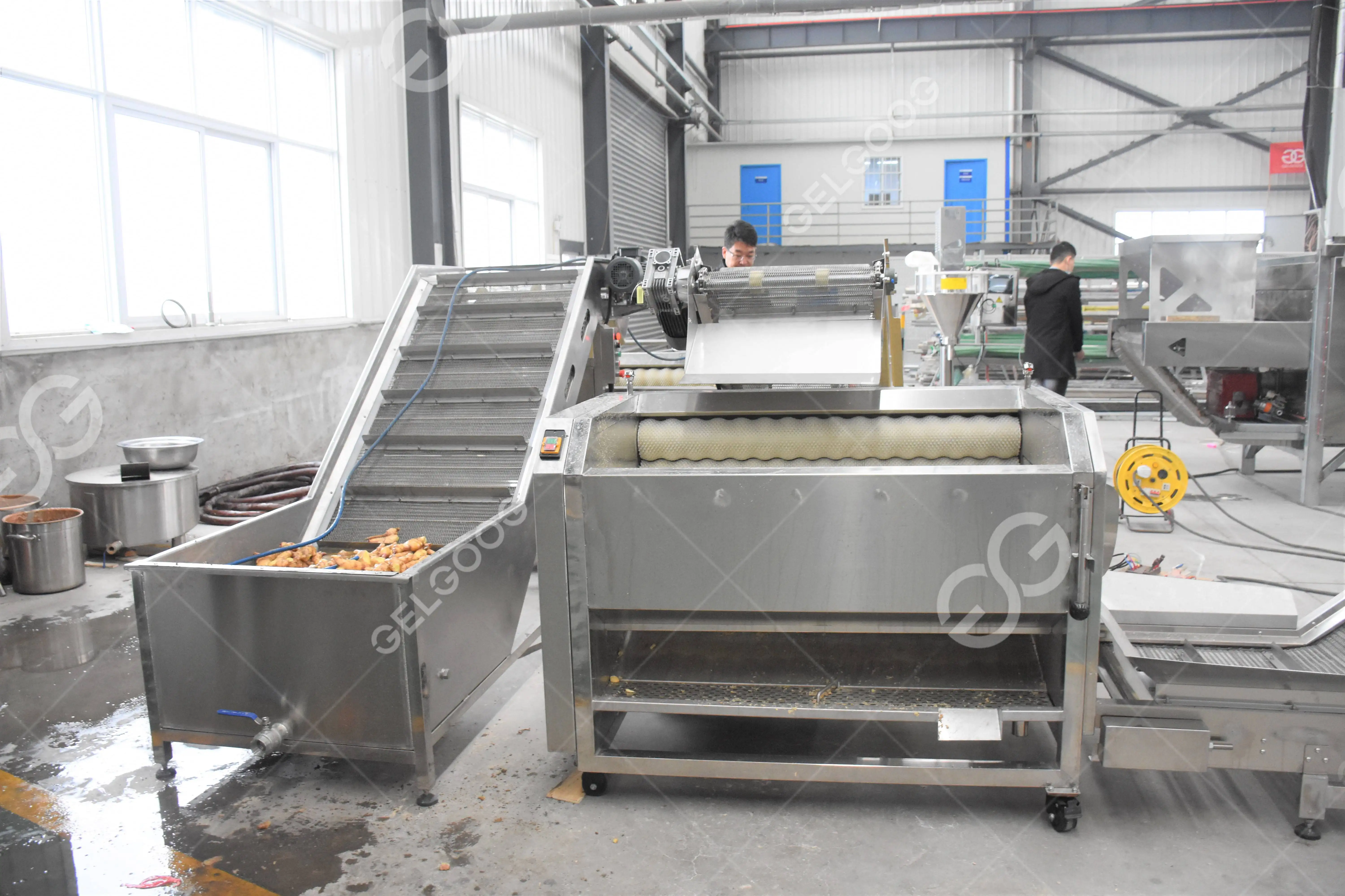 50Kg Per Hr Chilli Grass Processing Plant and Garlic Turmeric Powdered Paste Making Machine Production Line of Ginger Powder