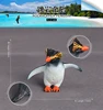 436 Pingüino saltador de rocas
