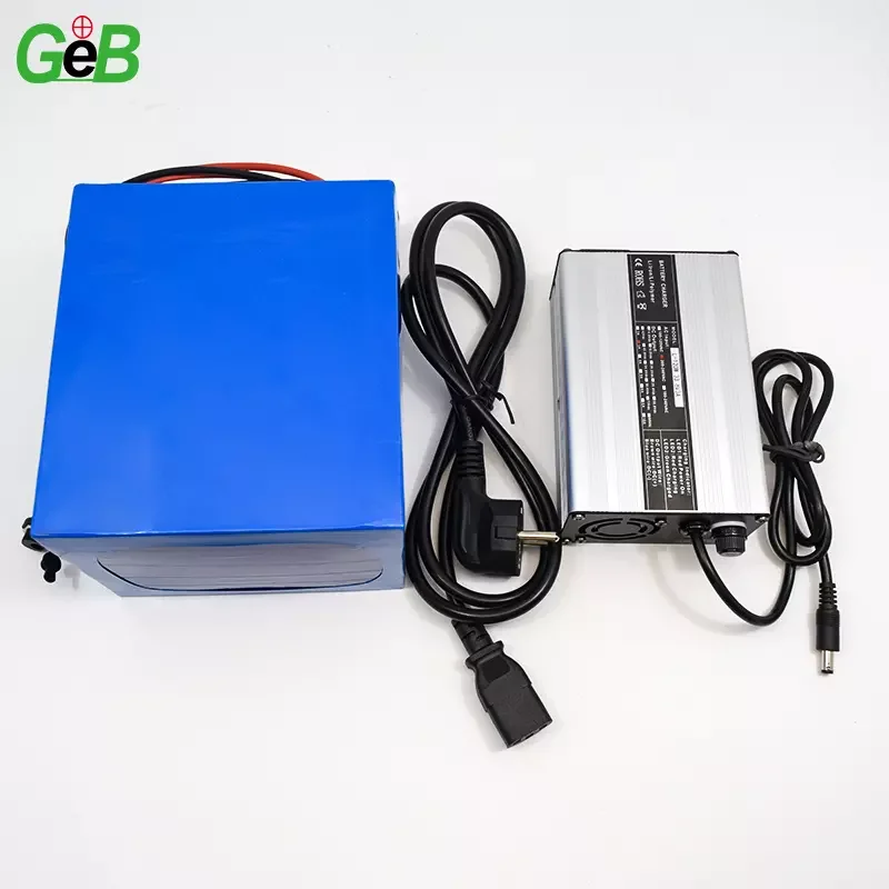 Customized Electric Scooter Battery 24v 36v 48v 10ah 20ah 30ah Lithium