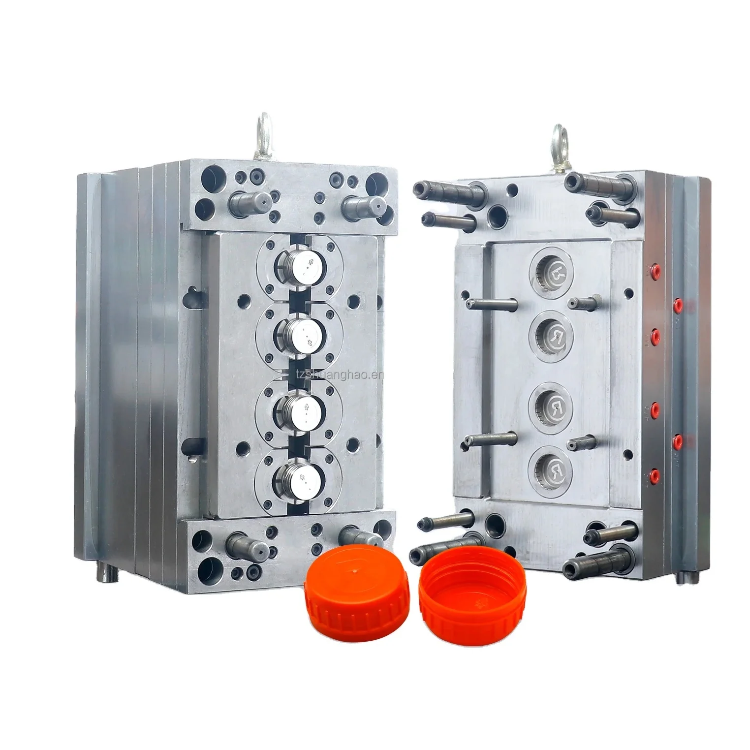 Кискадағы жылқы әтешінің нағыз видеосы