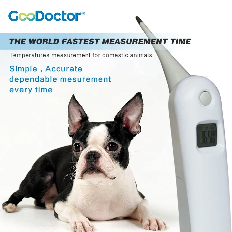 can you use a digital thermometer on a dog