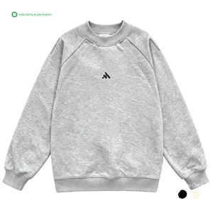 Hot Sale New Casual Fleece Crew Neck Breathable Windproof Long Sleeve Loose Pullover Sweatshirt for Unisex in Spring