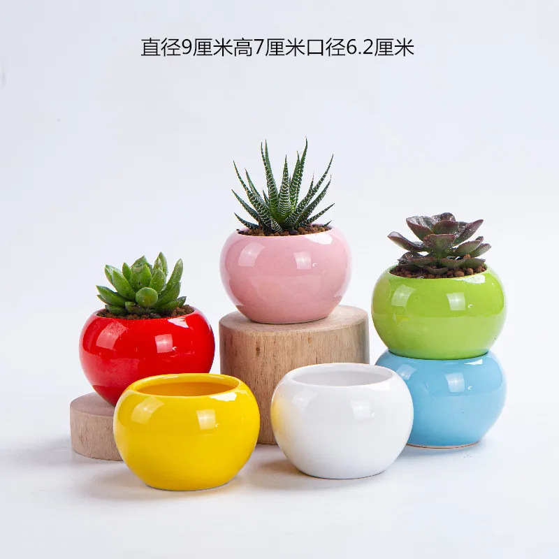 Set Di 6 Vasi Esagonali In Ceramica Bianca | Mini Vasi Per Pi Grasse Con Sottovaso In Bambù | Decorazione Da Scrivania E Casa