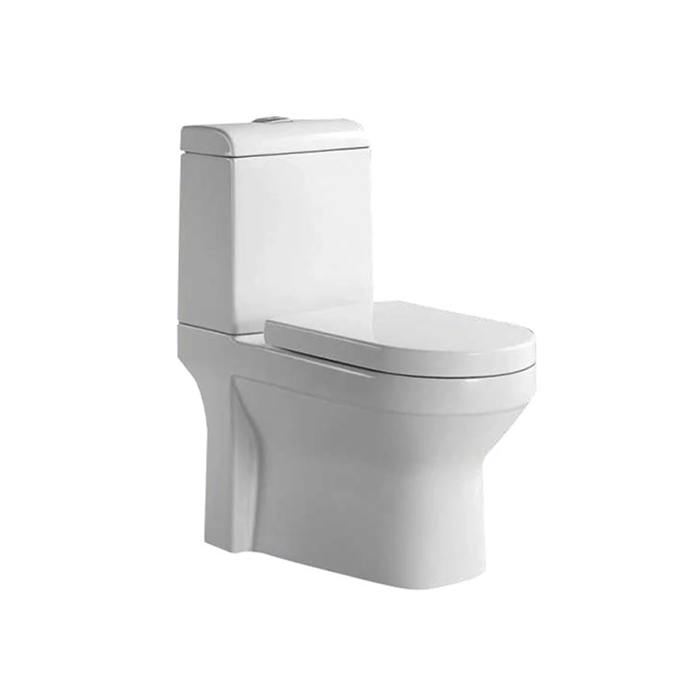 Types of Turkish Push Button Sanitary Ware Intelligent Toilet Bowl Flush Manufacturer