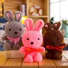 Multicolor rabbit