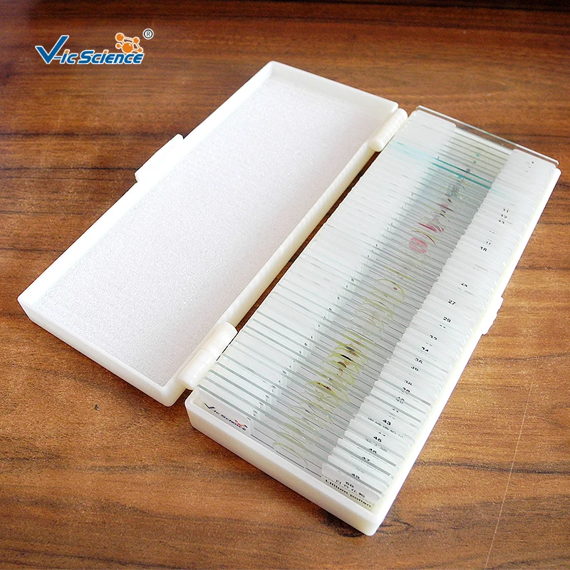 Parasitology Set of 50 Pcs  Slides  Studying Microscope Prepared Slides Prepared Slides Microscope
