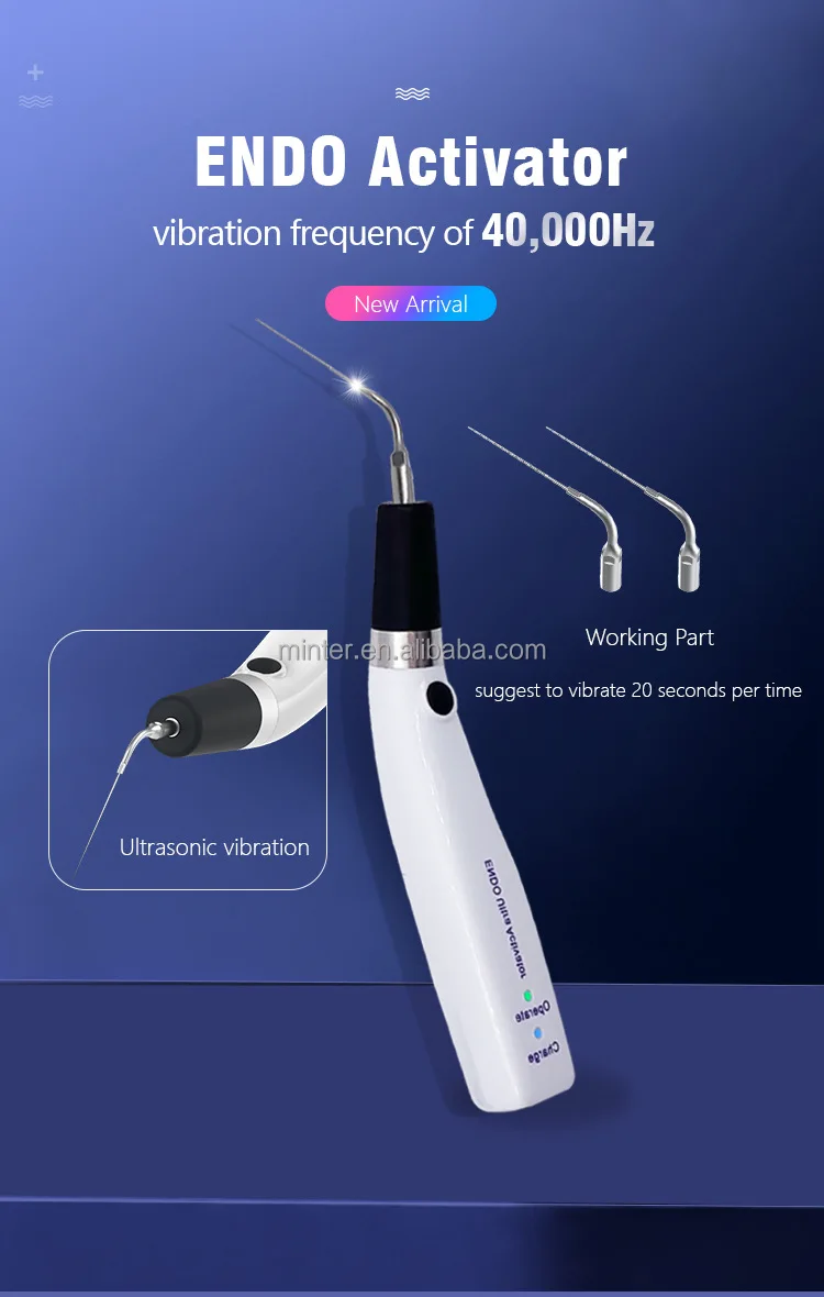 High Quality Cheap Cordless Ultrasonic Dental Endo Sonic Activator With ...