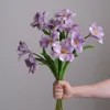 Morado claro