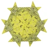 Giallo 1