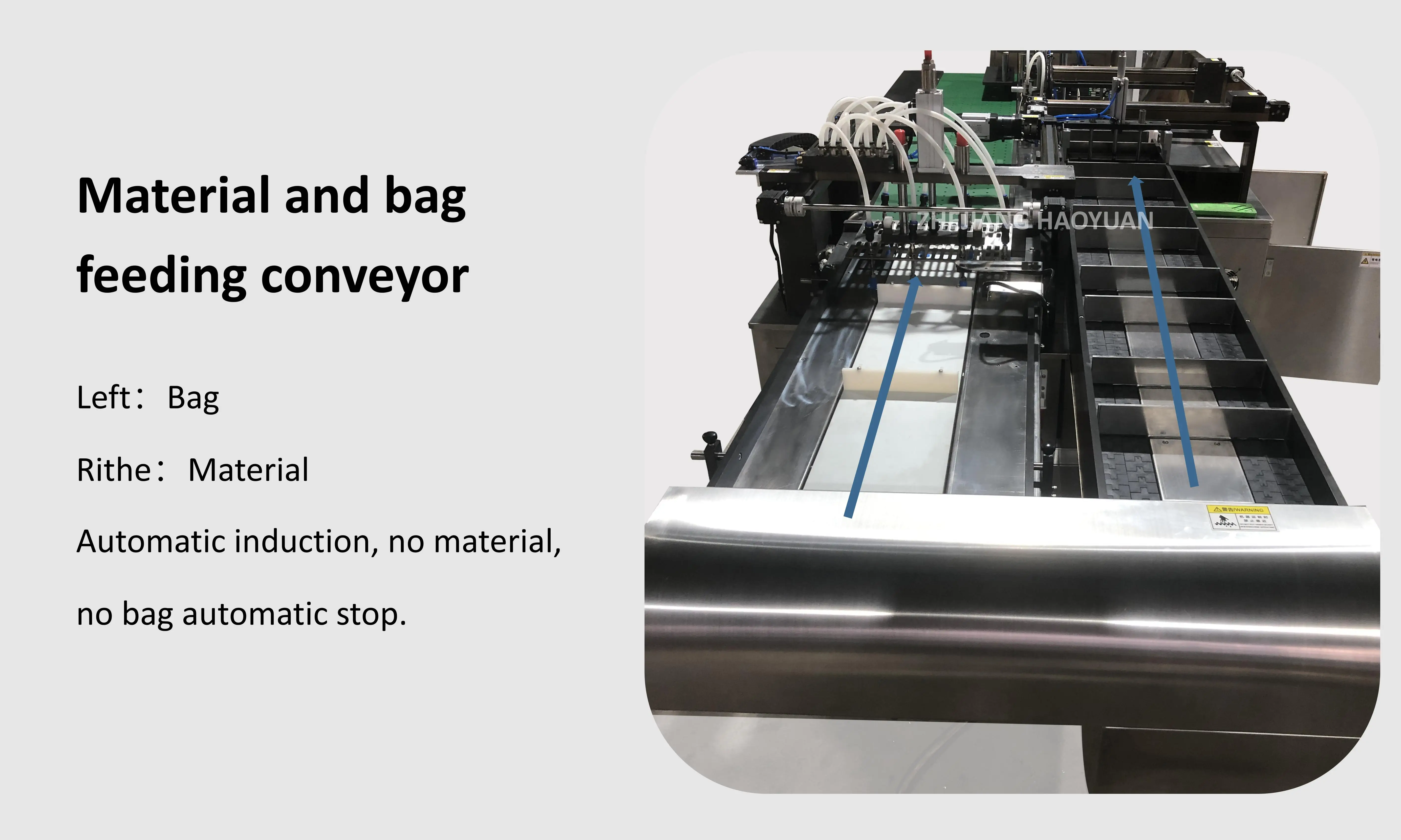 HY-100 Automatic Meat Fresh Fish Vegetable Fruit Radish Carote Vacuum Pre-Made Bag Sotto Vuoto Packing Machine manufacture