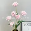 Rosa rosa claro de 6 cabezas