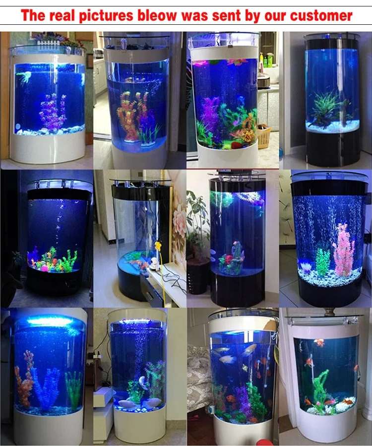 Customizable Half Round Glass Aquarium Fish Tank with LED