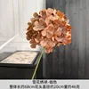 Snowflake Hydrangea