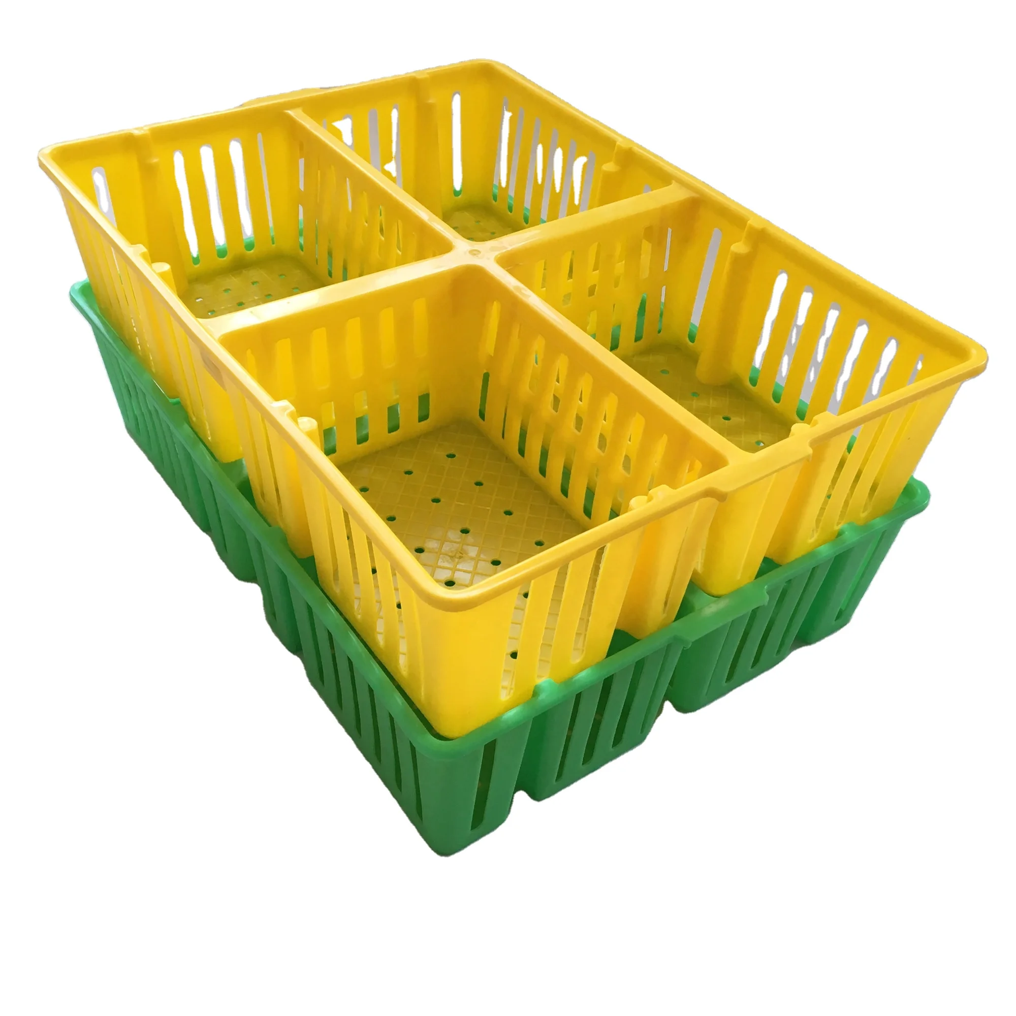 Nestsable and Stackable HDPE Plastic Day Old Chick Transport Box with 4 Compartments