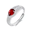 JH0272-5Garnet