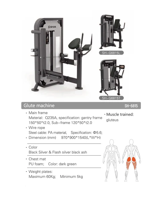 SHUA SH-G6906 バイセプスカールマシン ジム用 本格トレーニング SHUA SH-G6906 バイセプスカールマシン ジム用 本格トレーニング