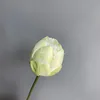 Lotus bud 2