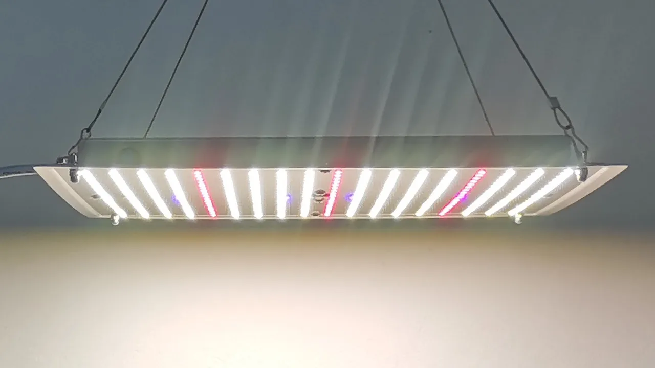 Quantum Plate Grow Light Full Spectrum Uv Ir 3030 High Ppe 3 Umol/j Led