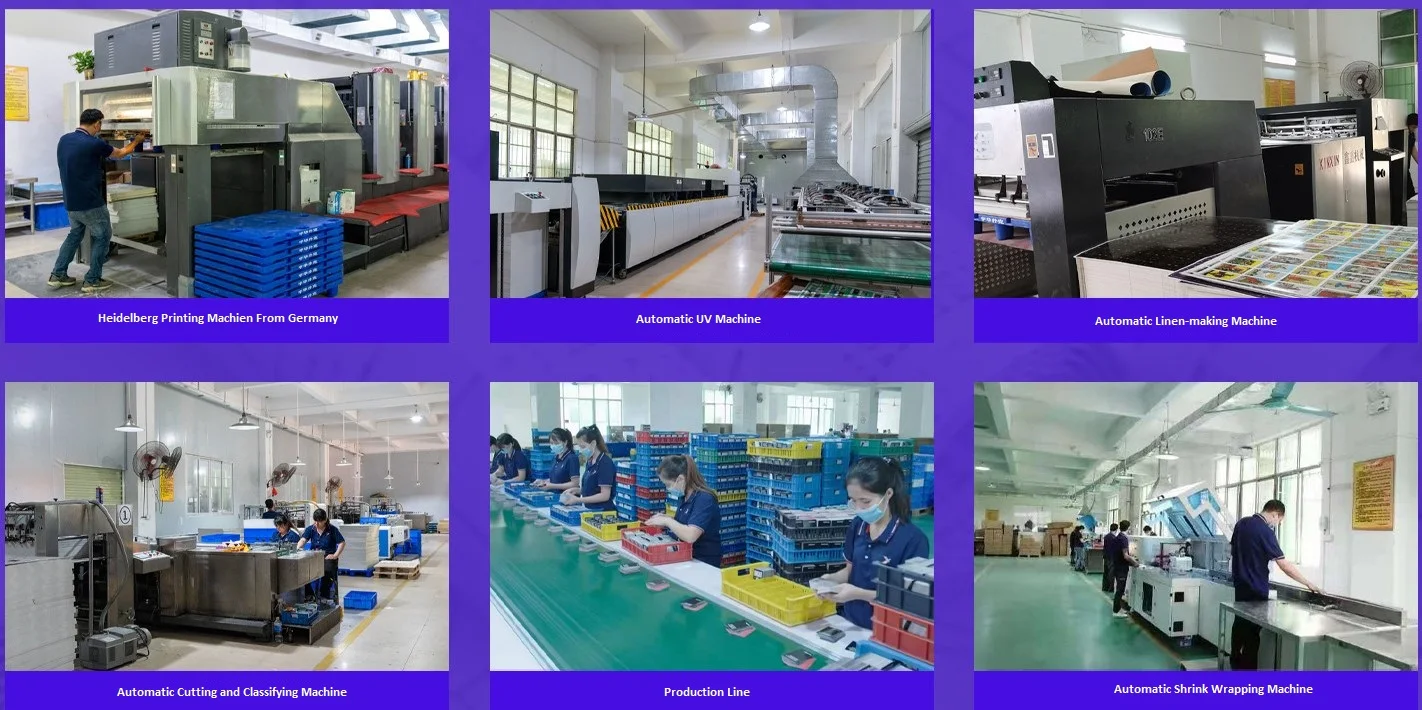 Shenzhen Meijing Industry Company Limited 1