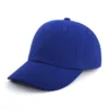 #14 Royal Blue