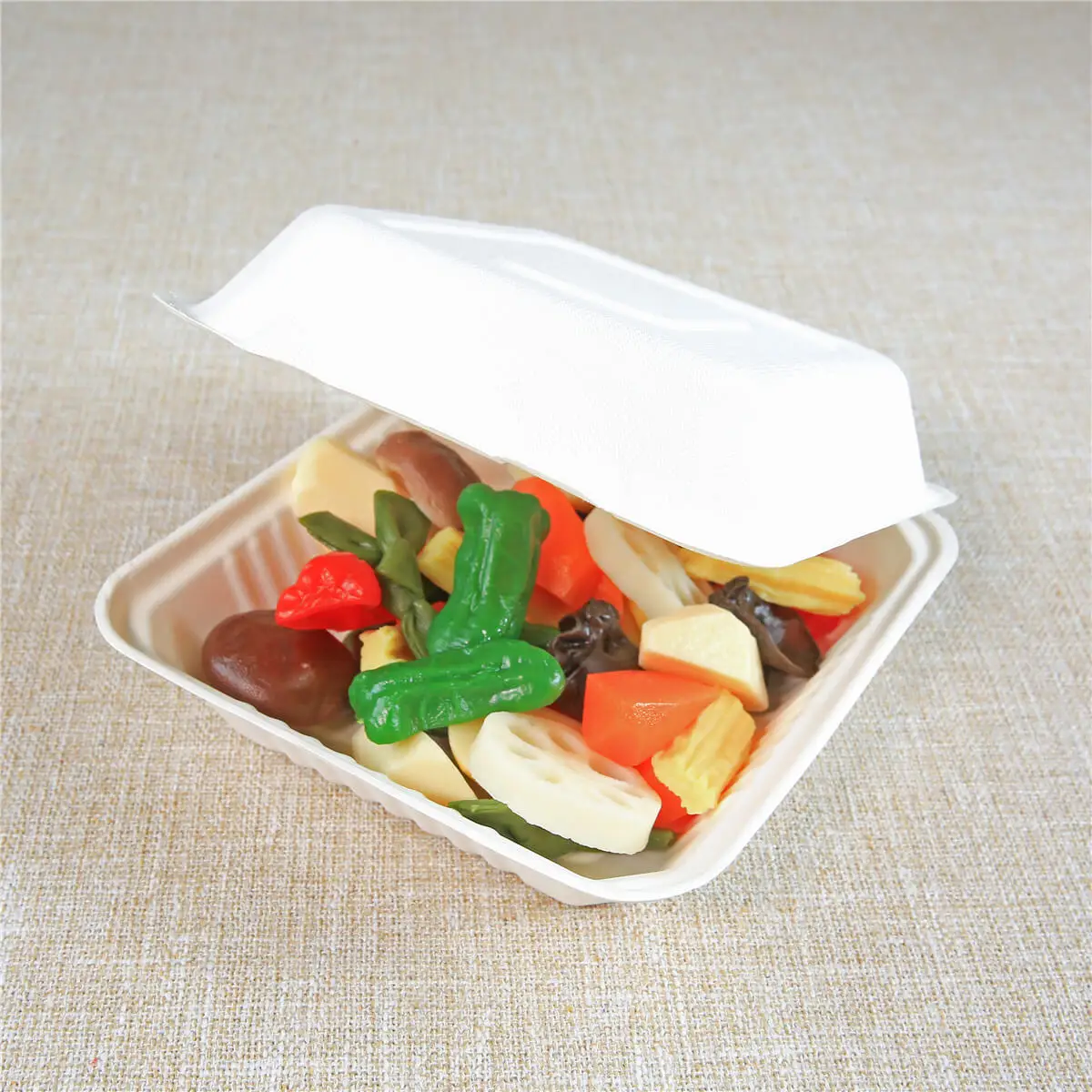 Biodegradable Disposable Food Boxes &amp; Salad Containers with Lids