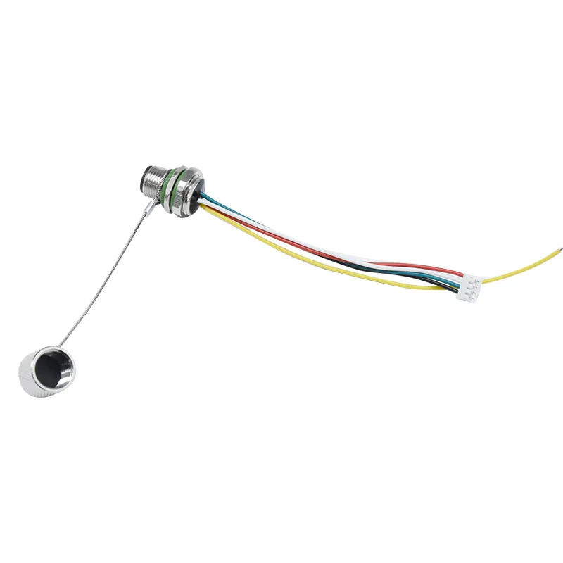 Customized Cordset M12 Code Male Rear Fastened Socket Receptacle PG9 Terminals Dust Cap 5pin Panel Mount IP67 Connector