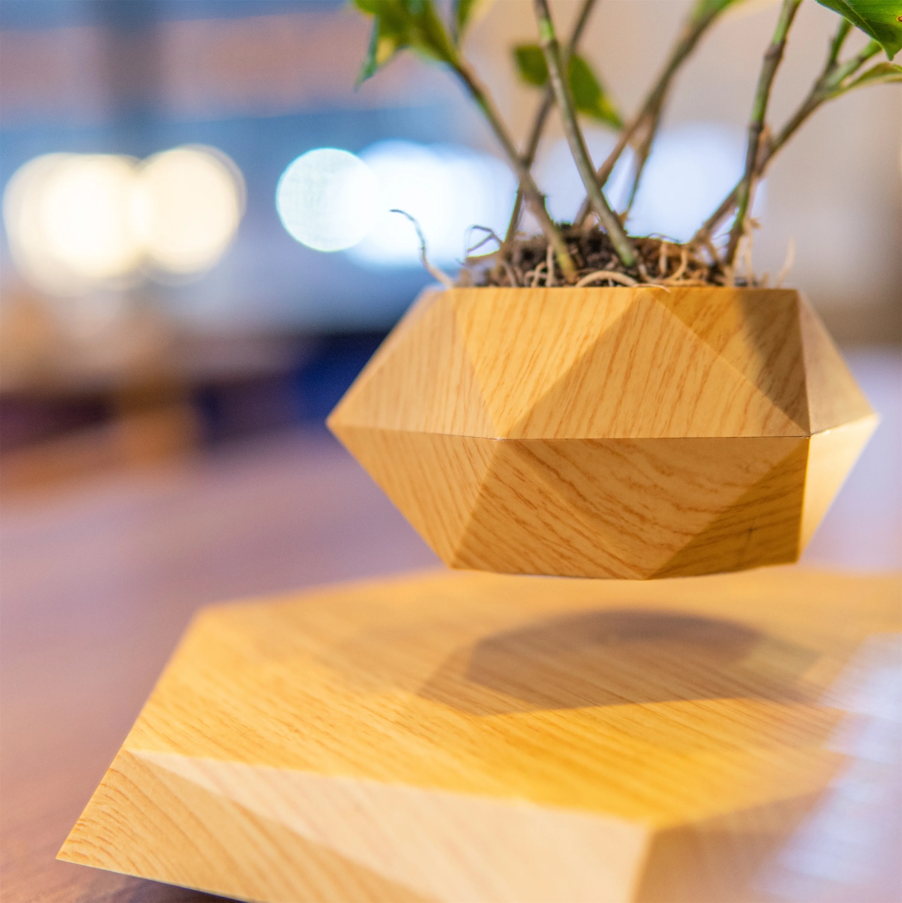Magnetic Levitating Plant Pot - Unique Bonsai Flower Pot for Home & Office  Decor, Perfect Gift for Creative Spaces