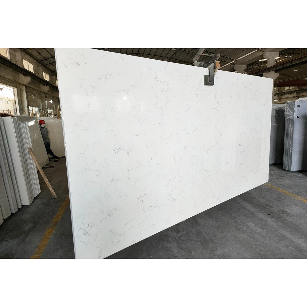 Carrera Verona Quartz Durable, Stylish, and Versatile